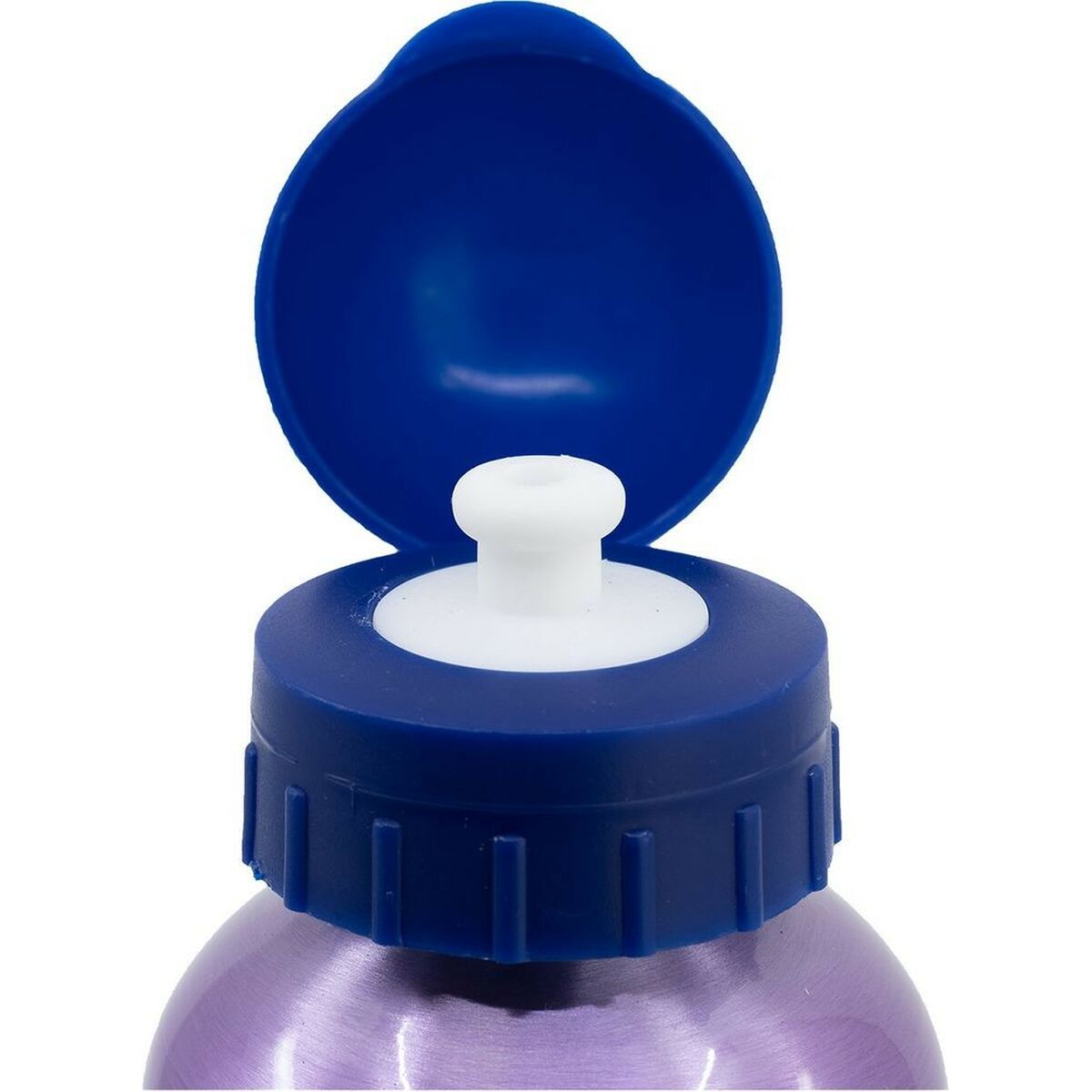 Bottiglia d'acqua Frozen CZ11261 530 ml Azzurro Alluminio - Image 4