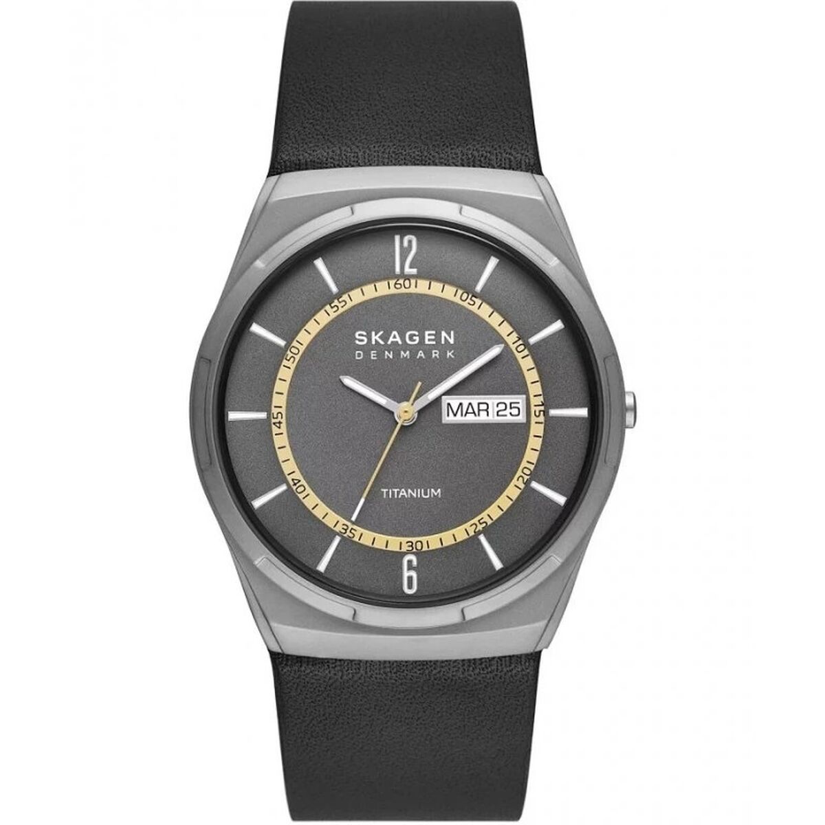 Orologio Uomo Skagen MELBYE TITANIUM (Ø 43 mm)