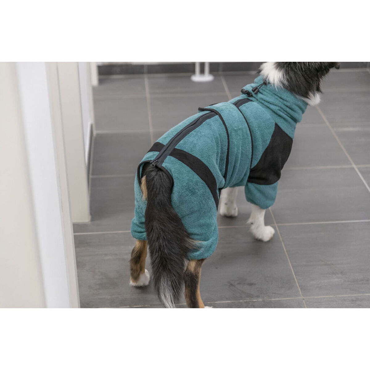 Accappatoio per cane Trixie Azzurro XS - Image 4