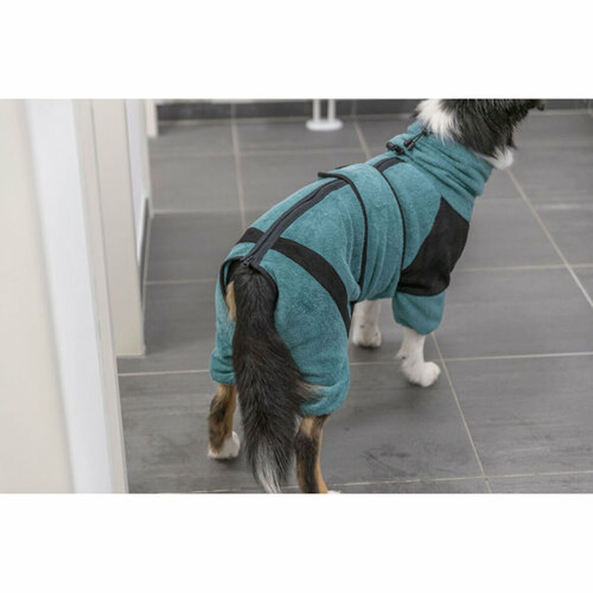 Accappatoio per cane Trixie Azzurro XS - Image 5