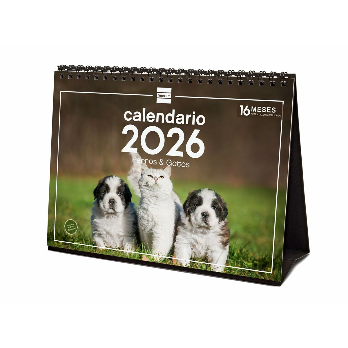Calendario da Tavolo Finocam Multicolore Carta 21 x 15 cm