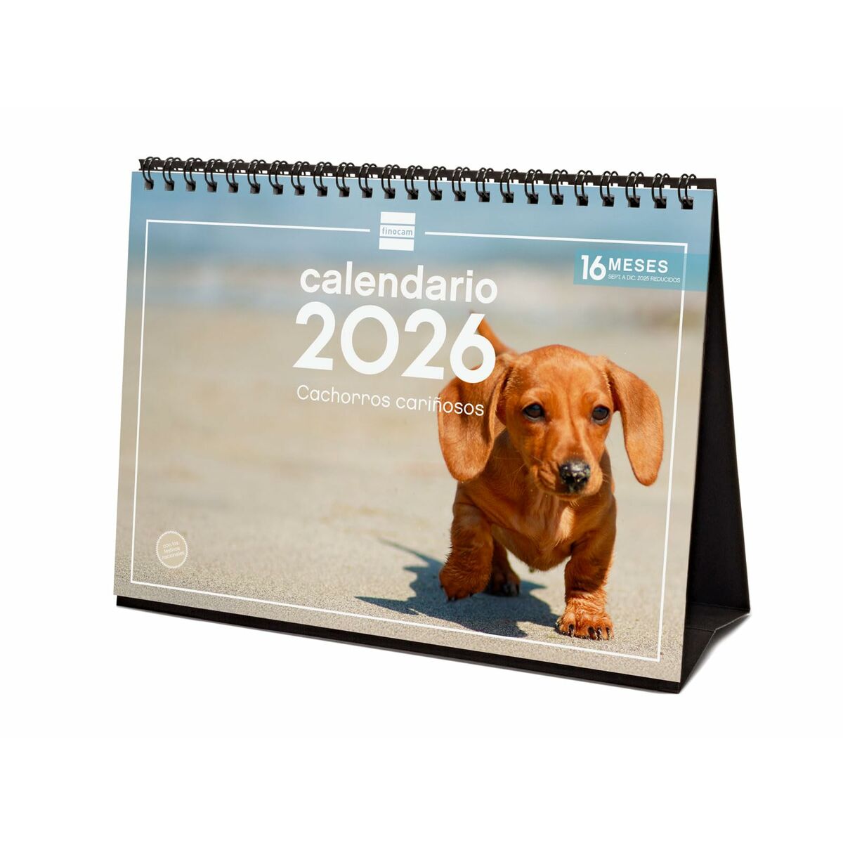 Calendario da Tavolo Finocam Multicolore Carta 21 x 15 cm