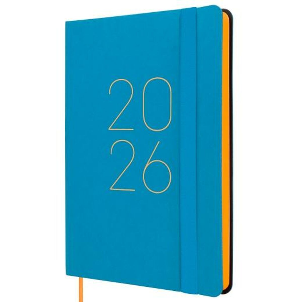 Agenda Finocam FLEXI Azzurro 11,8 x 16,8 cm 2026