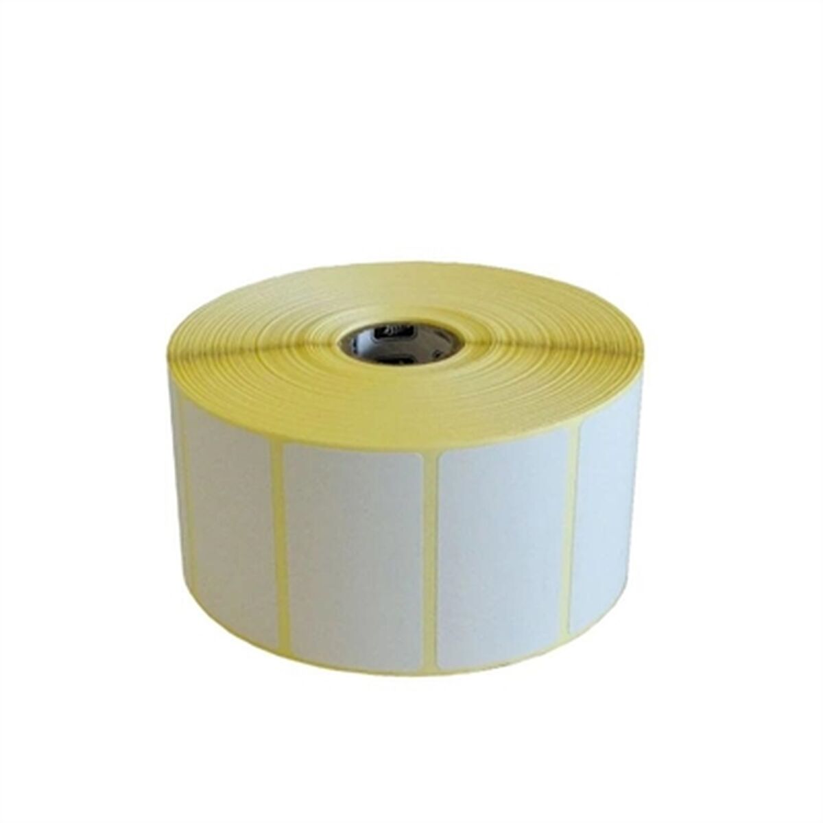 Carta Fotografica Lucida Zebra 3007205-T