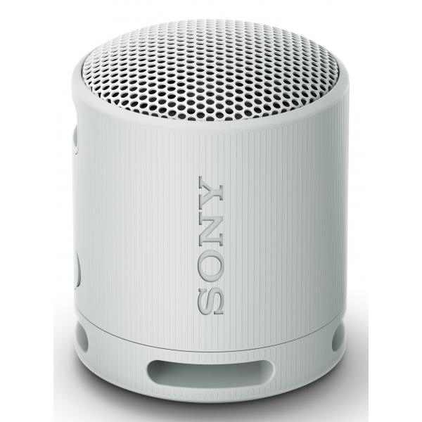 Altoparlante Bluetooth Portatile Sony SRSXB100H.CE7 Grigio
