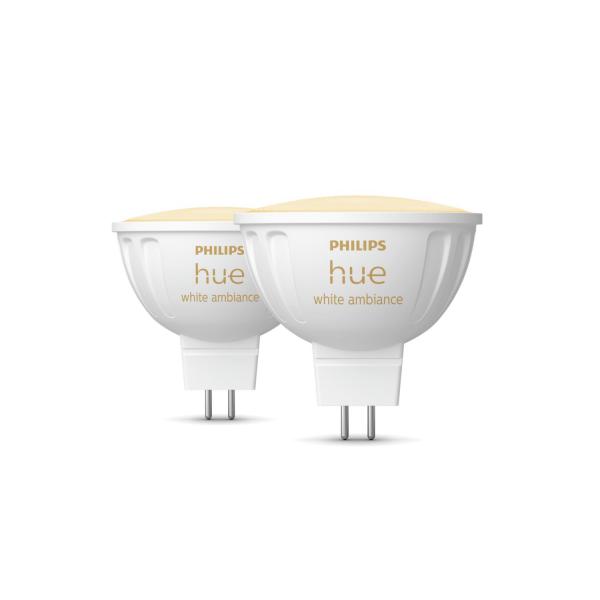 Lampadina LED Philips Bianco G 400 lm 2 Unità (2200K) (6500 K)
