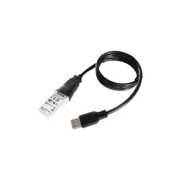 Etichette per Stampante Epson C32C891323 Nero (1 Unità)