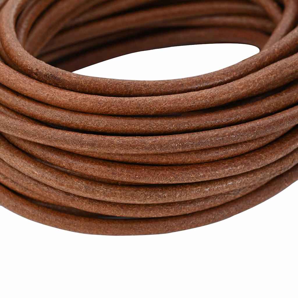 vidaXL Leder Schnur Hellbraun Ø5 mm x 10 m Leder - Image 3