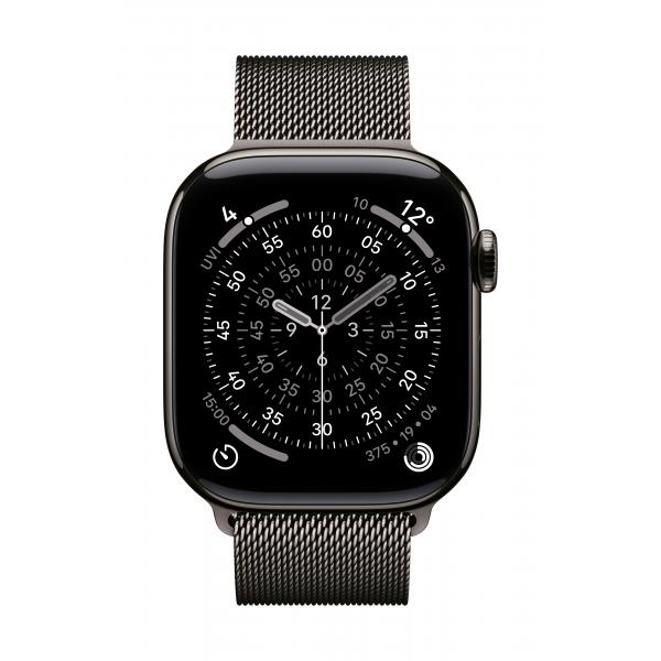 Apple Loop In Maglia Milanese Ardesia [42 Mm] (42mm Slate Milanese?loop)