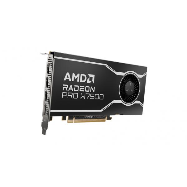 Amd Radeon Pro W7500 - Schede Grafiche - Radeon Pro W7500